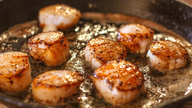 Close up of scallops searing in a cast iron pan