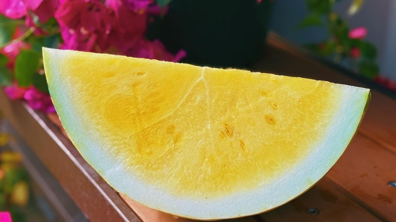 A wedge of Buttercup Yellow Melon sitting on a table with pink flowers in the background