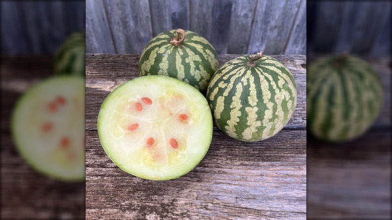 A couple of Citron Red Seeded Watermelon with one sliced in half