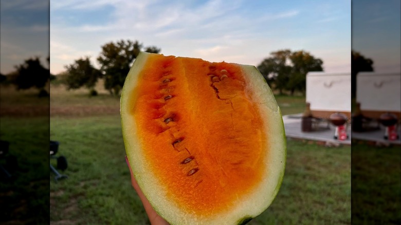 A person holding an OrangeGlo watermelon against a blue sky