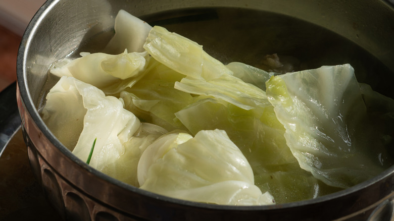 Pot of boiling green cabbage