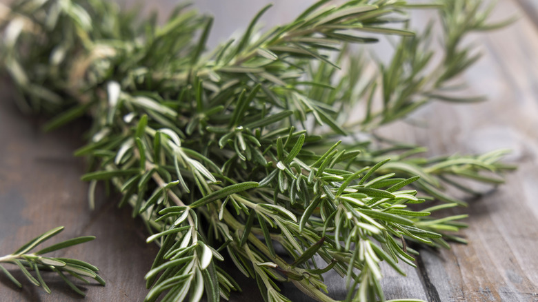 Rosemary sprigs on wooden table background