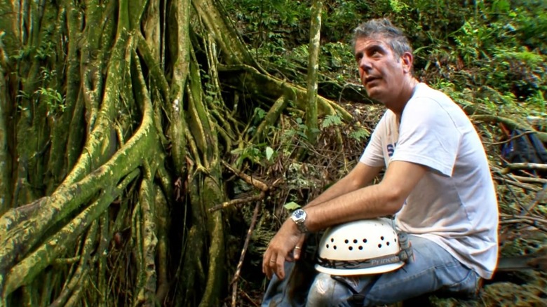 Anthony Bourdain looking sweaty and exhausted in the Jamaican jungle.