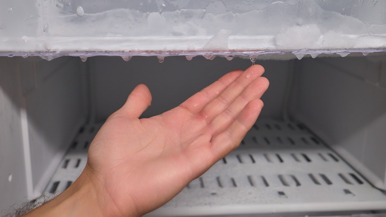A hand gestures to frost buildup in a freezer