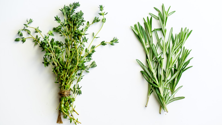 Fresh rosemary and thyme on white background