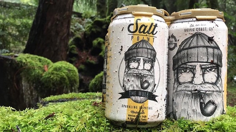 Two Salt Point canned cocktails sit in front of a natural background