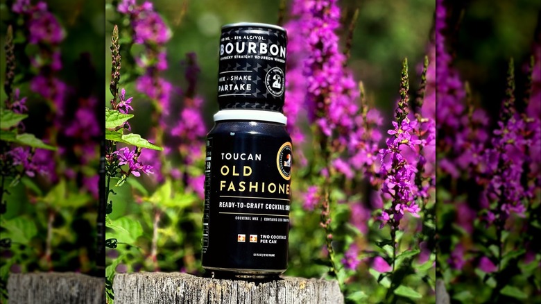 A Toucan Old Fashioned canned cocktail sits on a tree stump in a garden