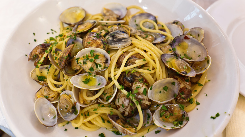Spaghetti with clams and parsley on a white dish