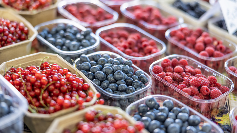 variety of packaged berries
