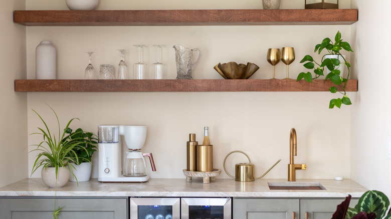 Plants on open kitchen shelving