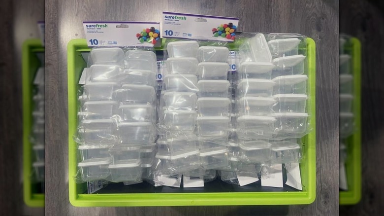 Packaged mini storage containers