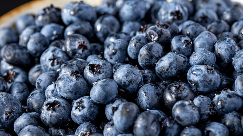 Texture shot of blueberries