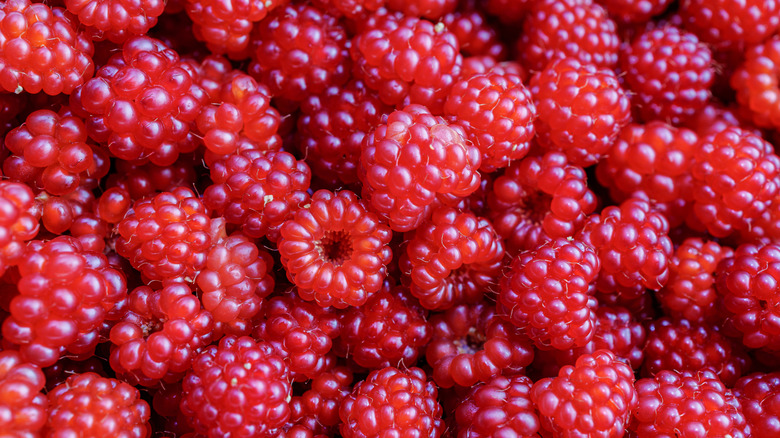 Texture shot of raspberries