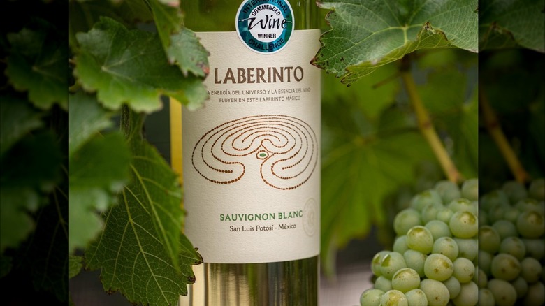 A bottle of Cava Quintanilla Laberinto Sauvignon Blanc next to grape vines
