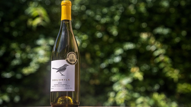 A bottle of Finca El Empecinado Cenzontle with greenery in the background
