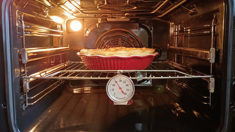 oven thermometer inside oven