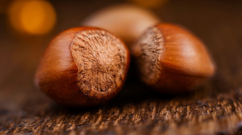 Closeup of two hazelnuts