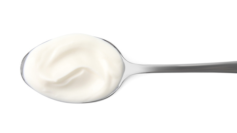 spoonful of sour cream against white background