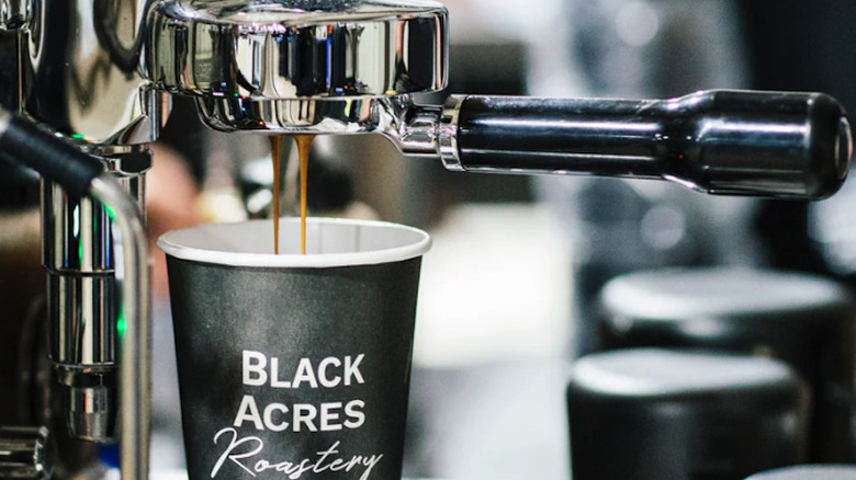 Closeup of espresso pouring into a Black Acres Roastery cup