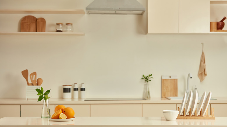 White kitchen counters with sparse decoration