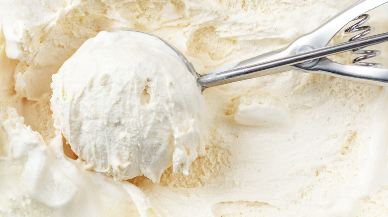 Vanilla ice cream is gathered in an ice cream scooper