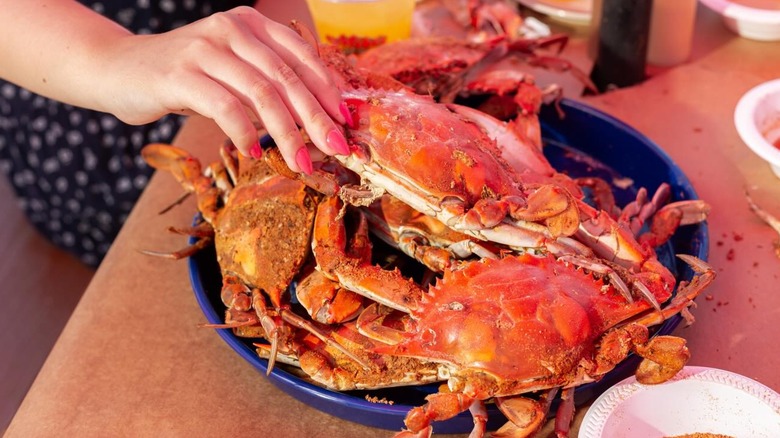 A woman grabbing a steamed blue crab off of a platter