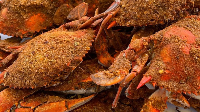 A platter of steamed and seasoned blue crabs