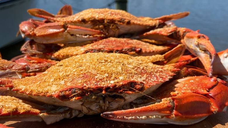 A stack of steamed blue crabs by a dock