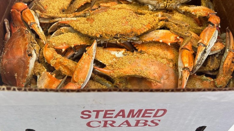 A box of freshly steamed blue crabs