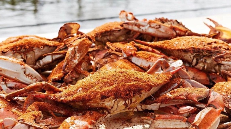 A platter of steamed blue crabs by the dock