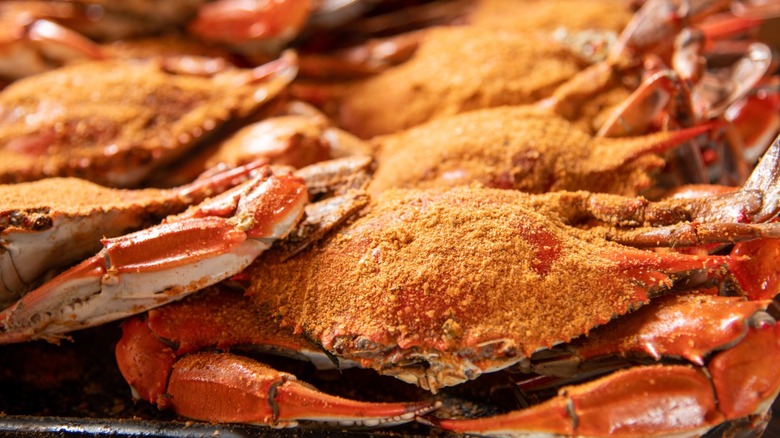 A pile of steamed blue crabs