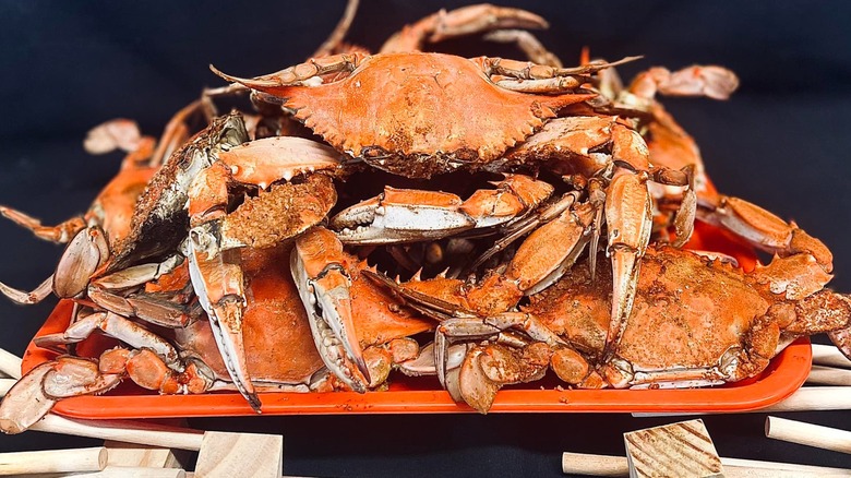 A tray of steamed blue crabs next to mallets
