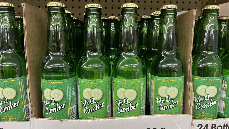 Mr. Q Cumber on shelf