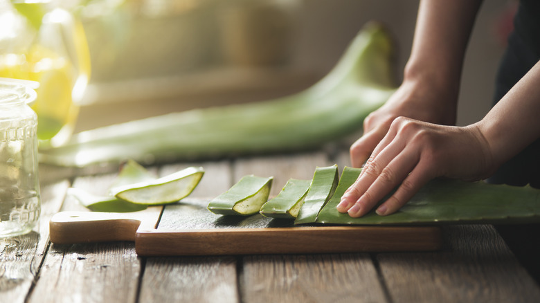 Hand slicing aloe vera leaves