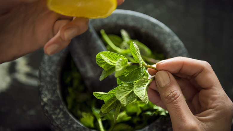Hand holding mint leaves and a lemon