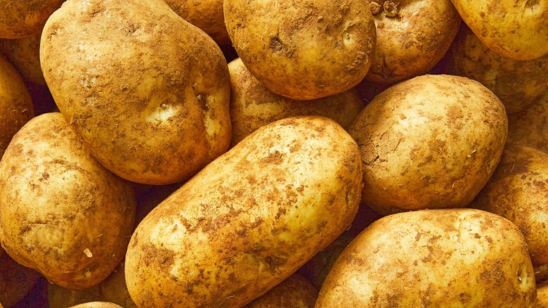 Kennebec potatoes piled together