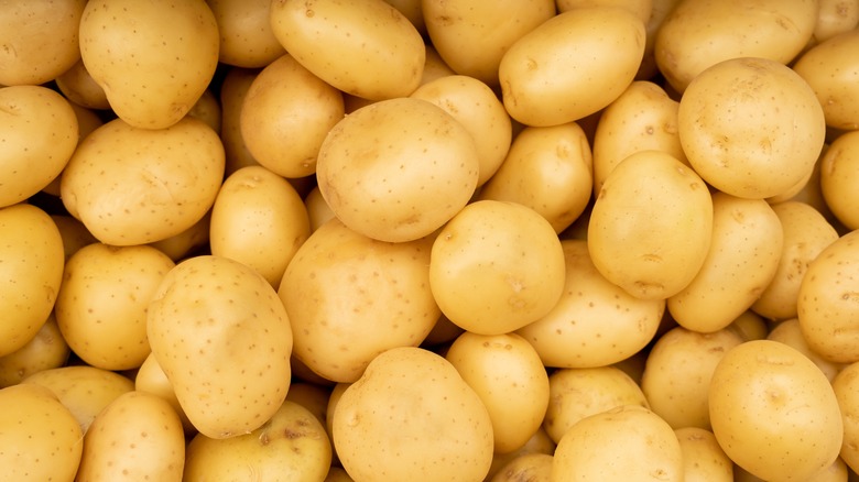 A pile of new potatoes