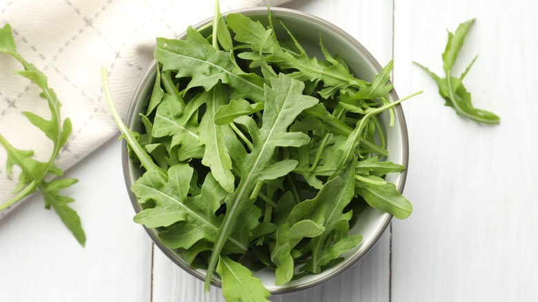 Bunch of fresh arugula leaves in bowl