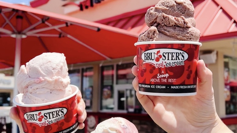 Dairy-free double scoops of Bruster's ice cream.