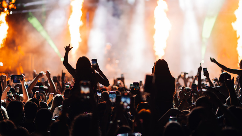 A concert scene with silhouetted people jumping and cheering