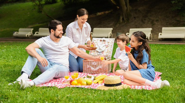 Family having a picnic in a park