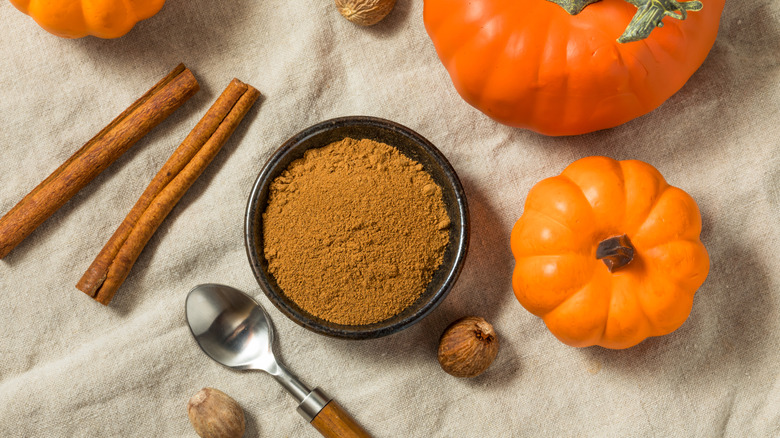 A bowl of pumpkin pie spice with a spoon, whole nutmeg, mini pumpkins, and cinnamon sticks surrounding it