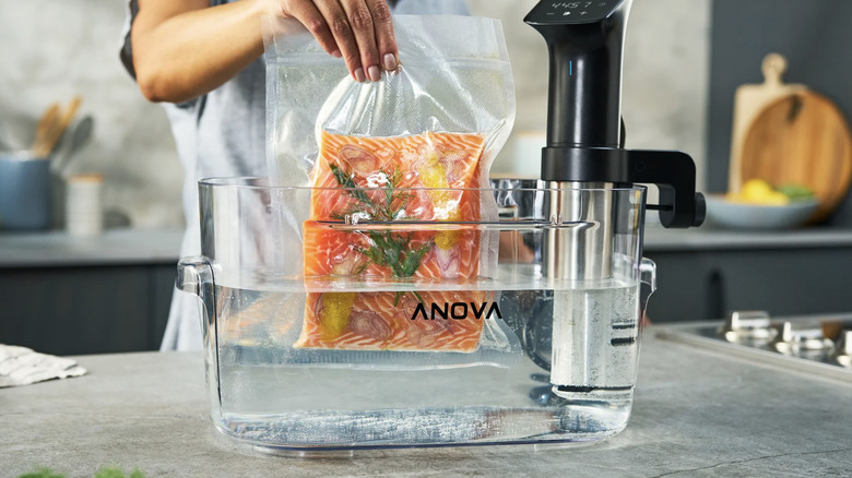 Woman placing a sealed bag of salmon into an Anova sous vide machine