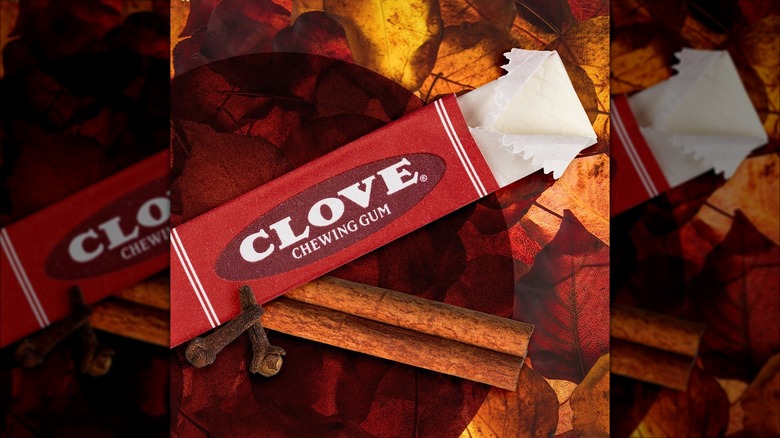 A pack of Clove Chewing Gum against a background of leaves and cinnamon sticks