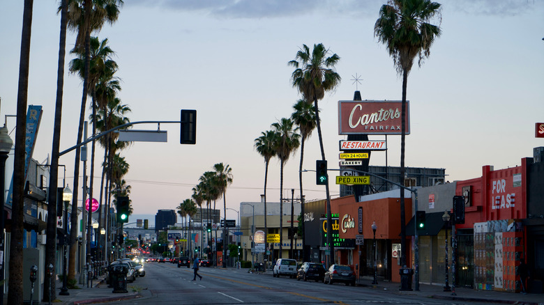 The Canter's Deli sign on a palm tree-lined LA atreet