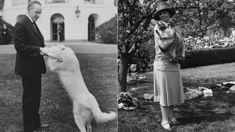 Calvin Coolidge playing with dog in lawn, and Grace Coolidge holding Rebecca the raccoon