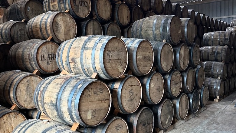 Tequila barrels at the El Ateo tequila distillery