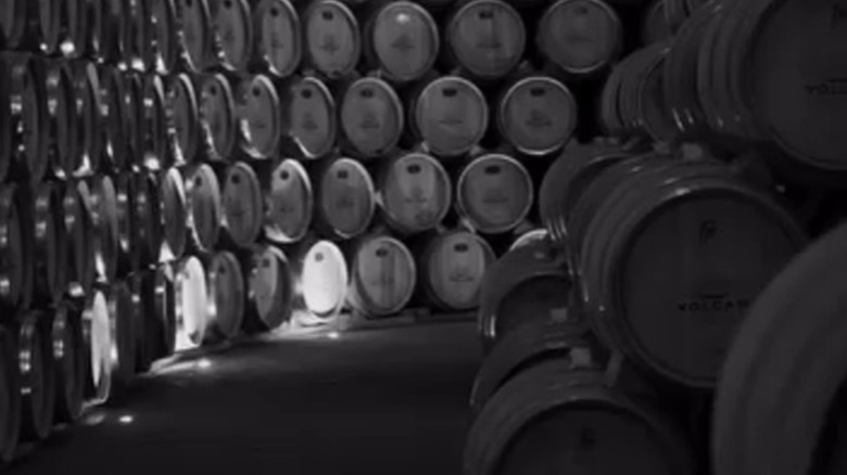 Numerous barrels of tequila at the Volcán de Mi Tierra distillery