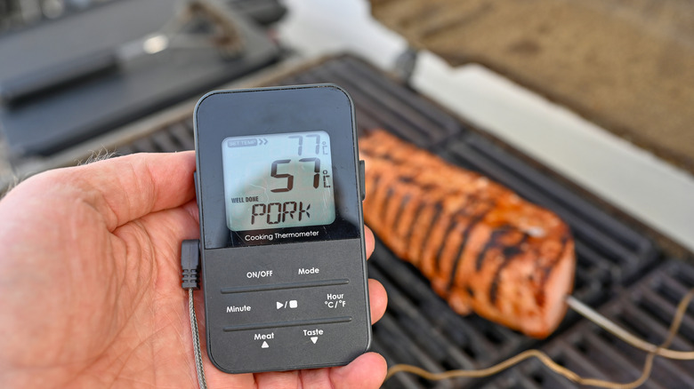 Person using digital thermometer to check temperature of cooked meat