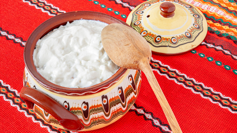 A wooden spoon is propped on a pot of Bulgarian yogurt.